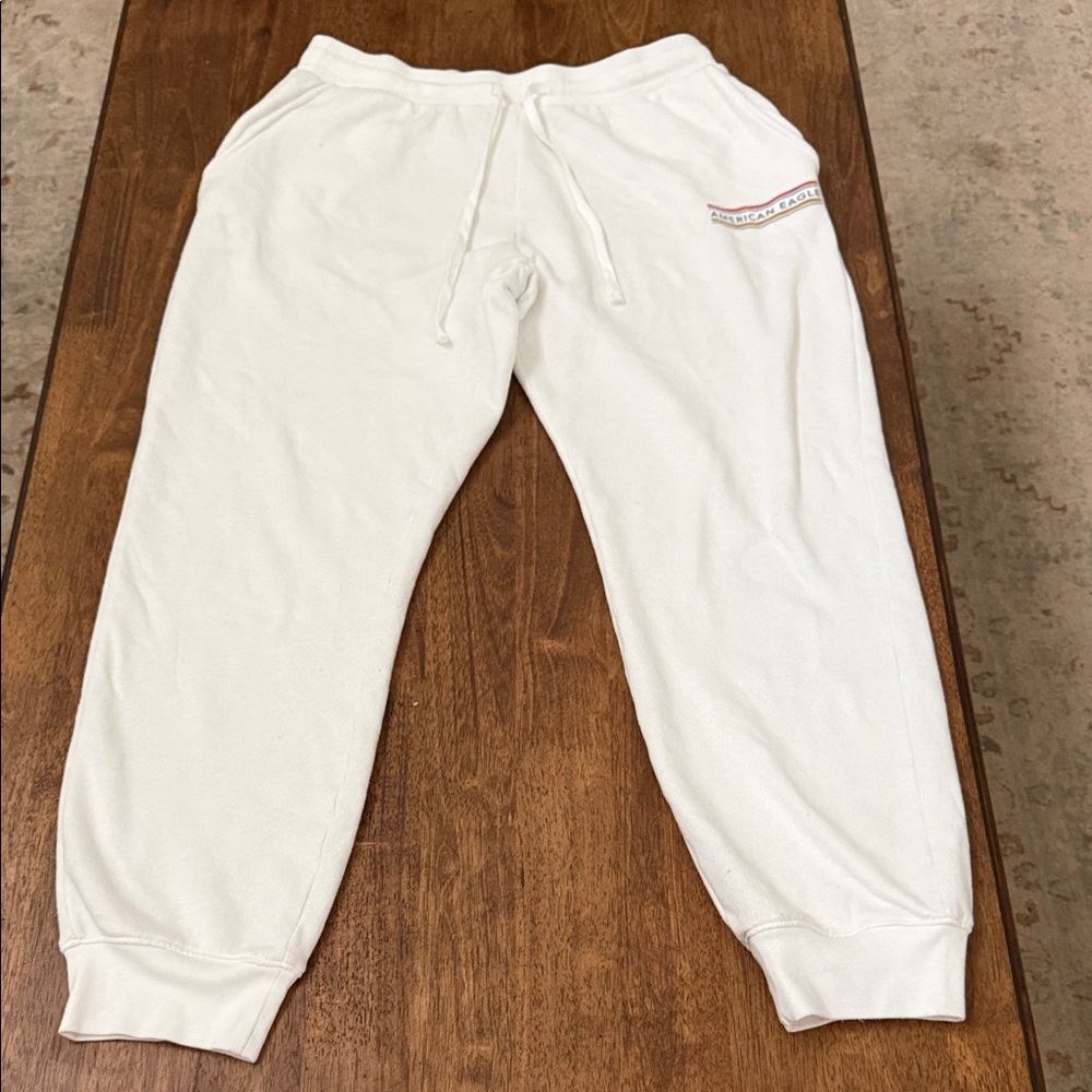 American Eagle Plush Terry Sweatpants Size Large Long - Picture 1 of 4